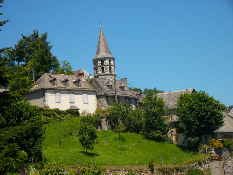 IMGP05240